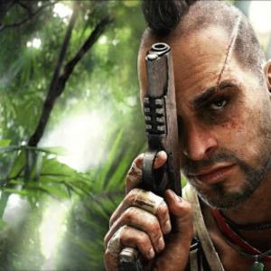 Vaas