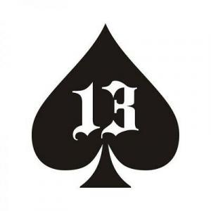 Majestic-13