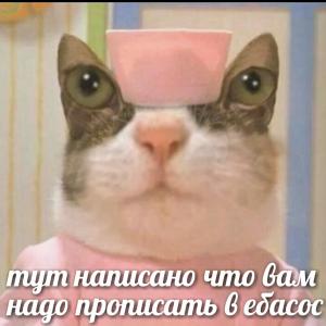 Побег из дурки